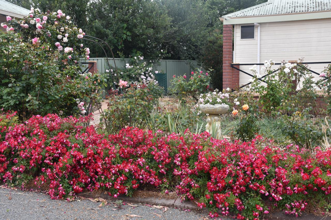 Mount Barker Valley Views Motel & Chalets, Western Australia Kültér fotó